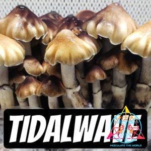 Tidal Wave mushrooms